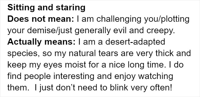 Cat Owners Explain How Cat Body Language Is Often Misinterpreted By 'Dog People'