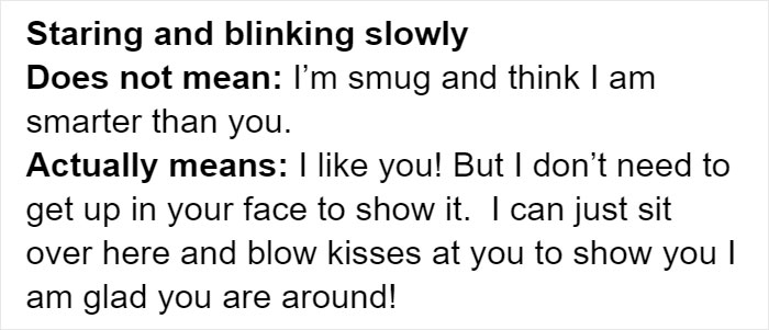 Cat Owners Explain How Cat Body Language Is Often Misinterpreted By 'Dog People' Cat Owners Explain How Cat Body Language Is Often Misinterpreted By 'Dog People'