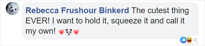 National Zoo Shares Photos Of A 1-Month-Old Panda Cub And It's Unbearably Cute National Zoo Shares Photos Of A 1-Month-Old Panda Cub And It's Unbearably Cute