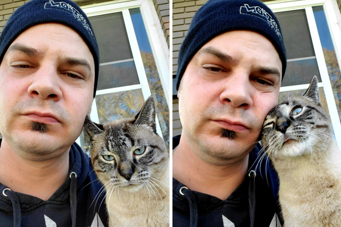 Not My Cat But I Swear He Shows Up Just To Take Selfies.