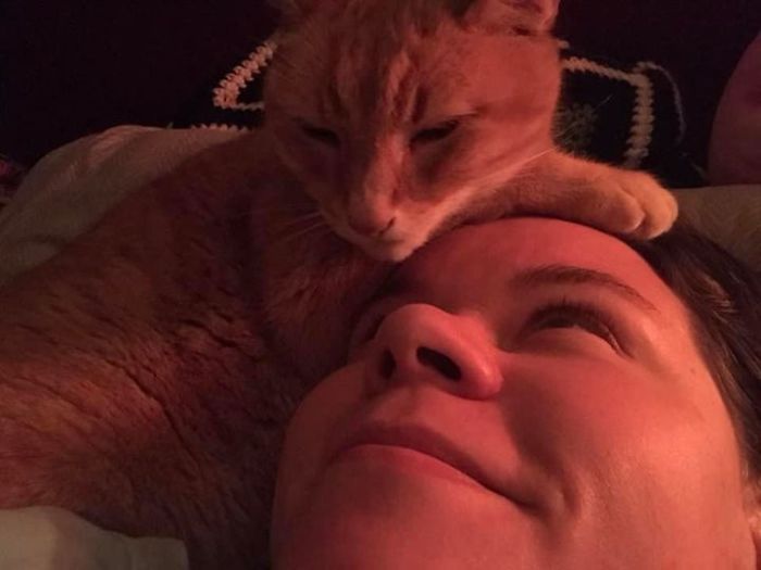 My House, Didn’t Used To Be My Cat