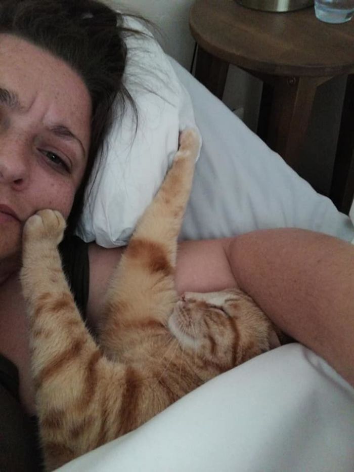 My House, Not My Cat