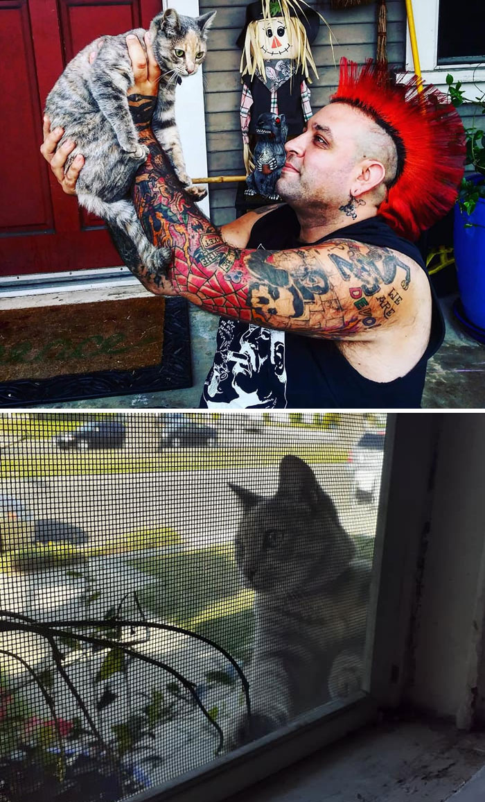 This Precious Baby Silver Torti Visits Us Every Morning. Her Name Tag Says Cali But We Renamed Her Baby Bok Choy. She Is Super Sweet And Wants To Rush The Door Every Time We Go Back Inside. Unfortunately We Can't Since We Already Have Two Indoor Cats That Would Not Be Happy About It And That Minor Detail That She In Not Our Cat But We Do Cherish Our Time With Her When She Visits