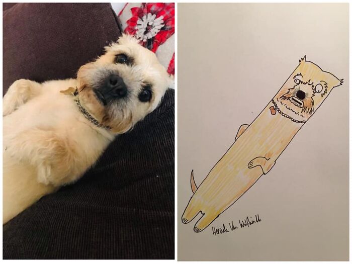 Pet Portraits Charity