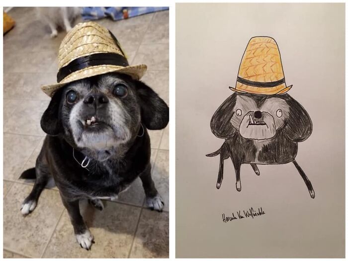 Pet Portraits Charity