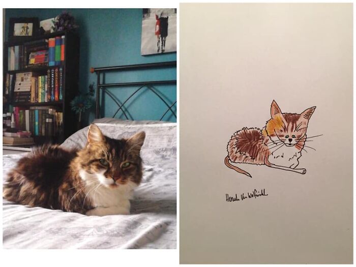 Pet Portraits Charity