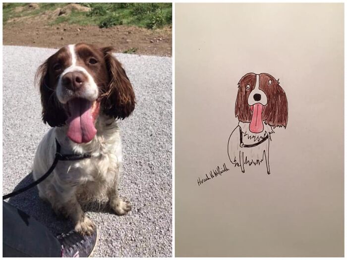 Pet Portraits Charity