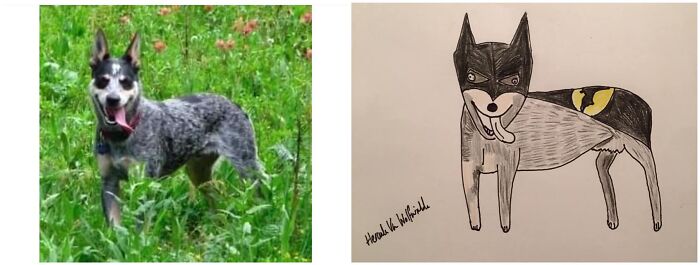 Pet Portraits Charity