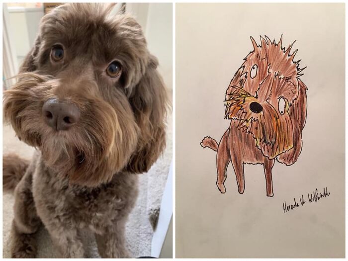 Pet Portraits Charity