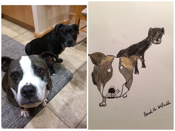 Pet Portraits Charity