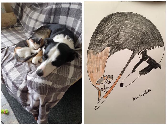 Pet Portraits Charity