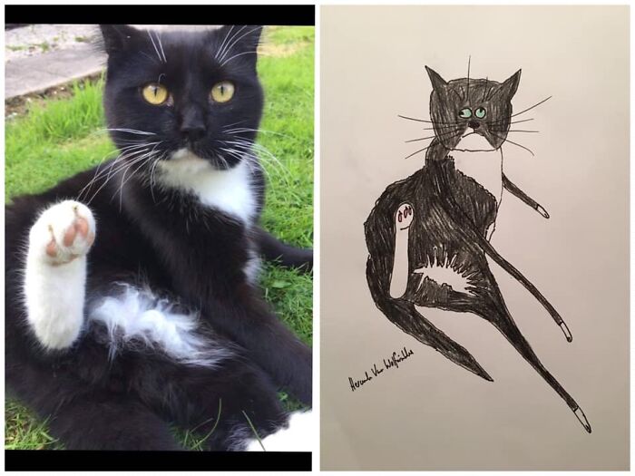 Pet Portraits Charity