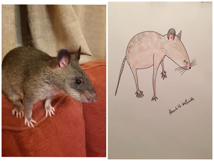 Pet Portraits Charity