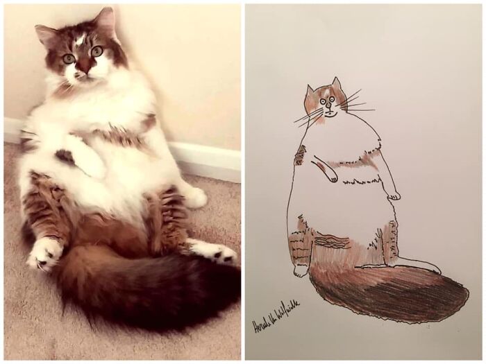 Pet Portraits Charity