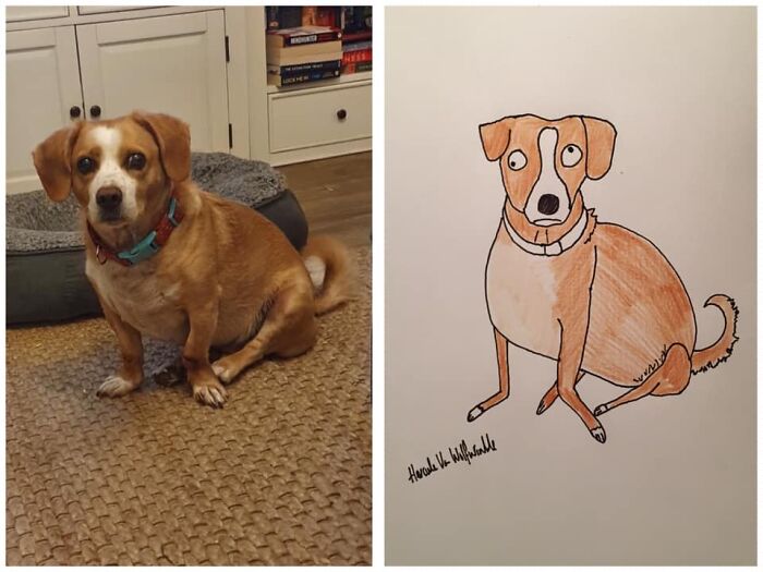 Pet Portraits Charity