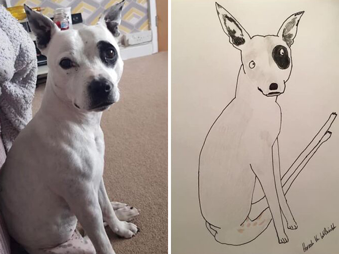 Pet Portraits Charity