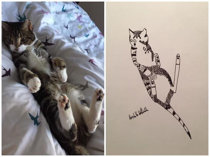 Pet Portraits Charity