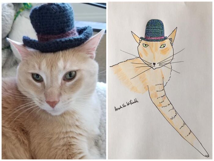 Pet Portraits Charity