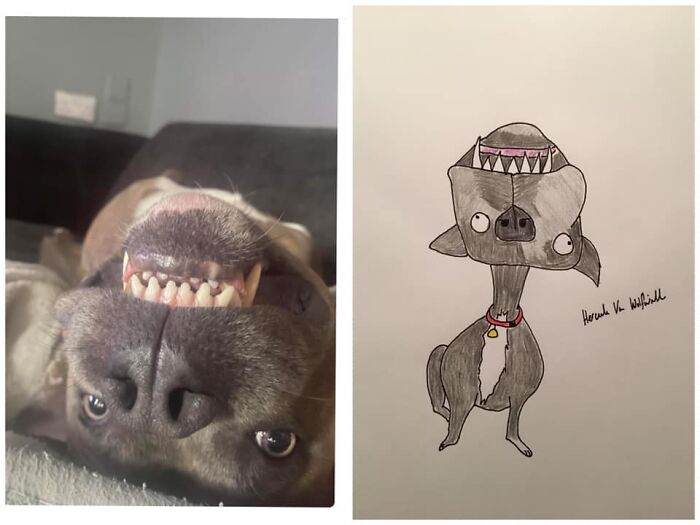 Pet Portraits Charity