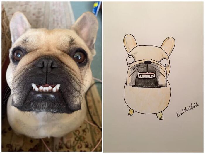 Pet Portraits Charity