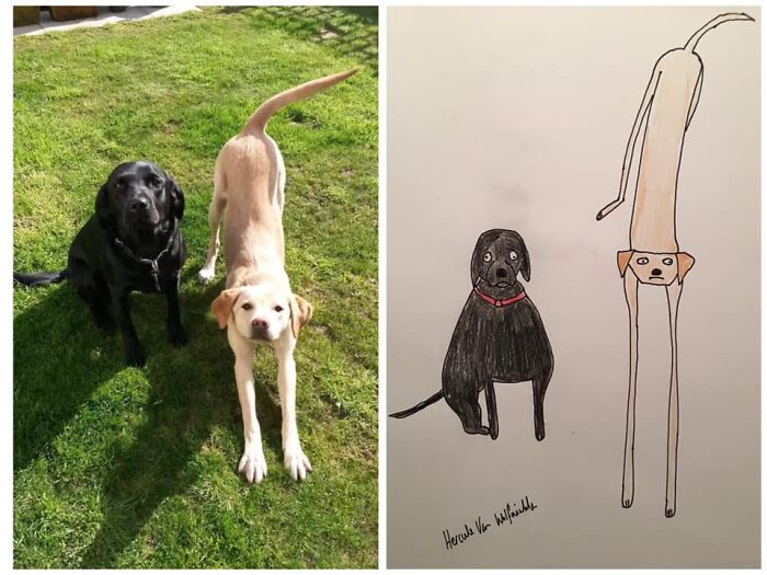 Pet Portraits Charity