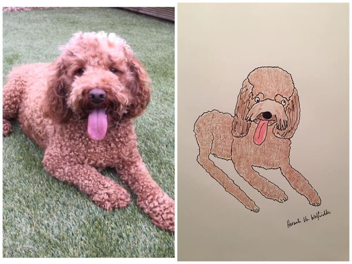 Pet Portraits Charity