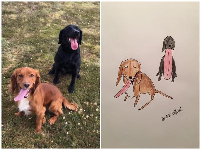 Pet Portraits Charity