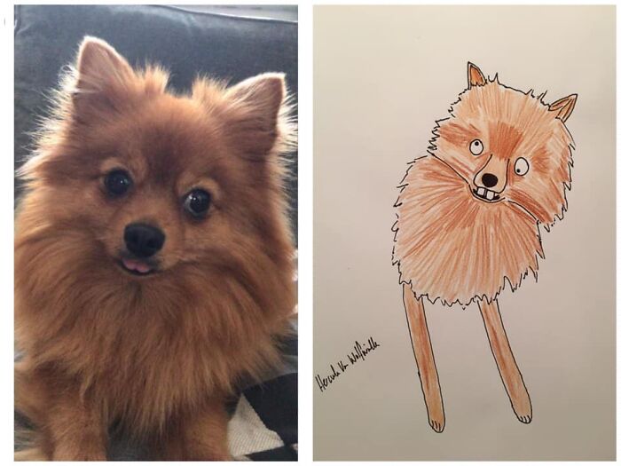 Pet Portraits Charity