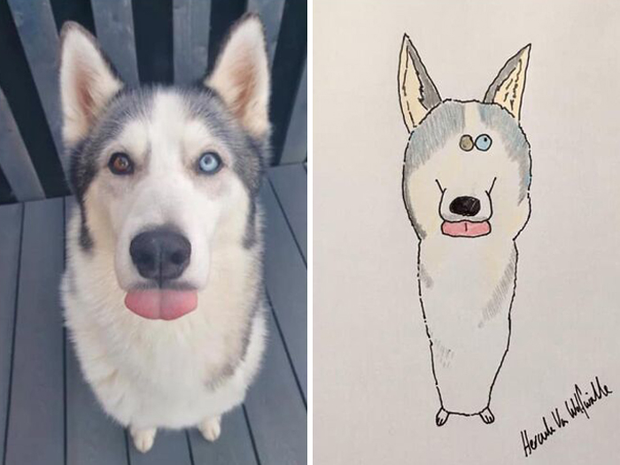 Pet Portraits Charity