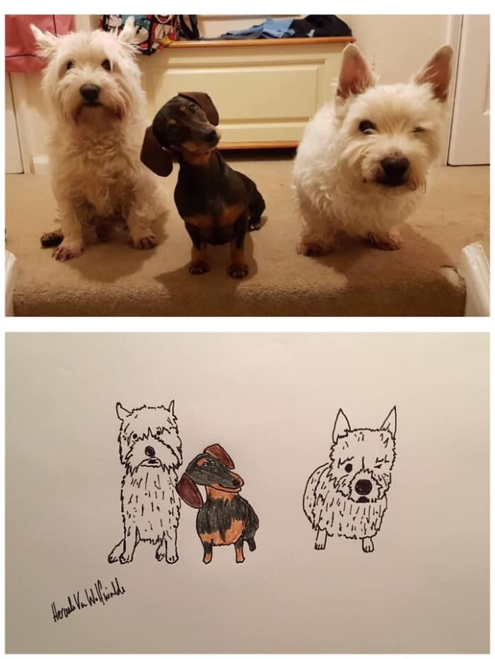 Pet Portraits Charity