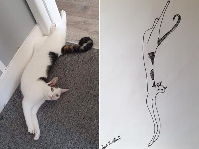 Pet Portraits Charity