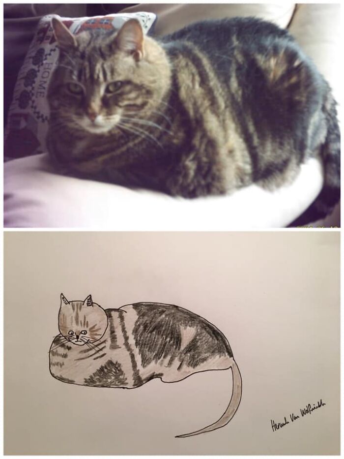 Pet Portraits Charity