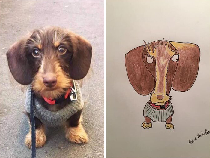 Pet Portraits Charity