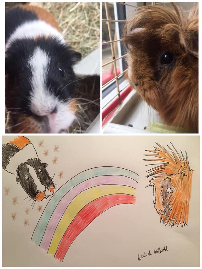 Pet Portraits Charity