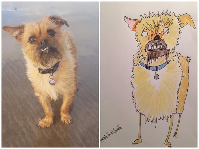 Pet Portraits Charity