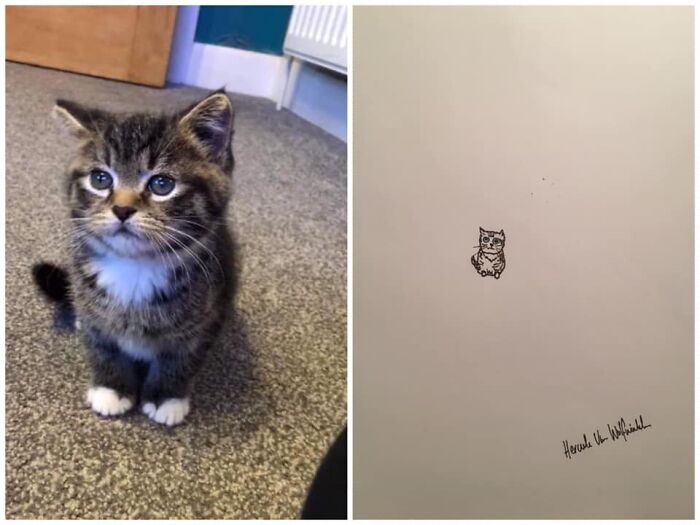 Pet Portraits Charity