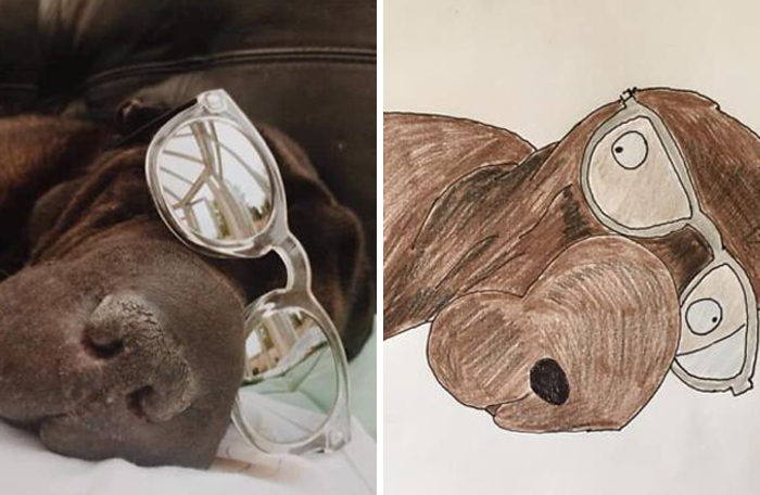 Pet Portraits Charity