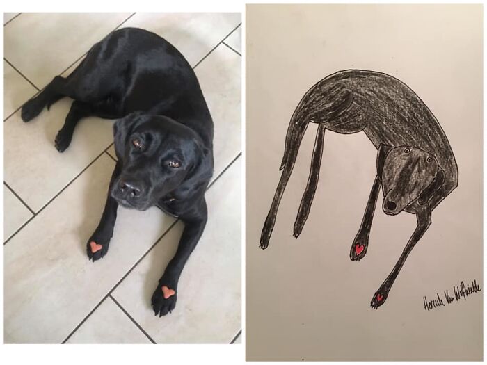 Pet Portraits Charity