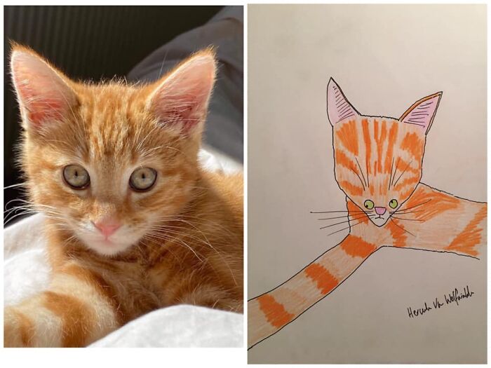 Pet Portraits Charity