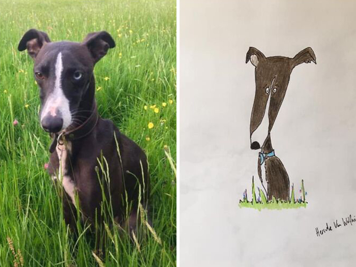 Pet Portraits Charity