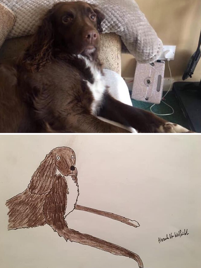 Pet Portraits Charity