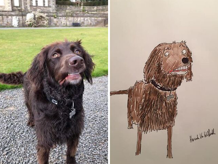 Pet Portraits Charity