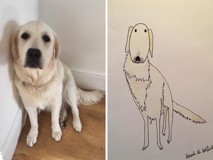 Pet Portraits Charity