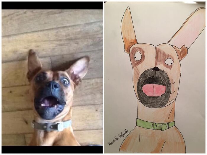 Pet Portraits Charity