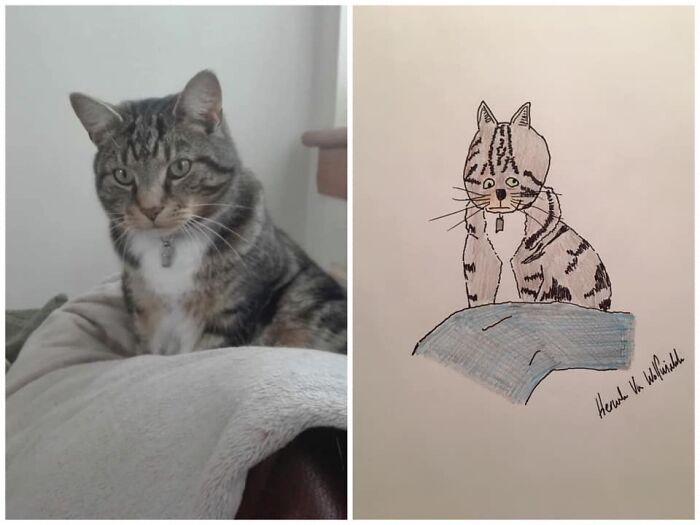 Pet Portraits Charity