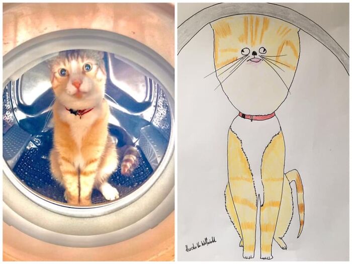 Pet Portraits Charity