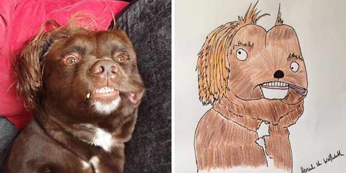 Pet Portraits Charity