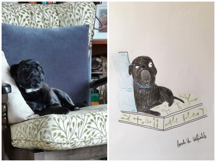 Pet Portraits Charity