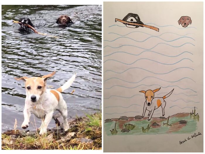 Pet Portraits Charity