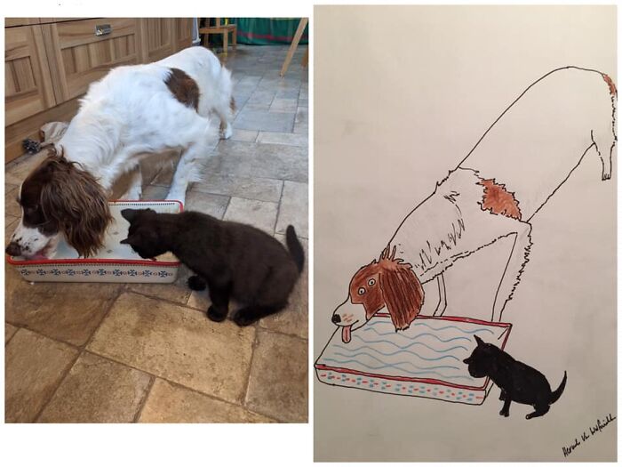 Pet Portraits Charity